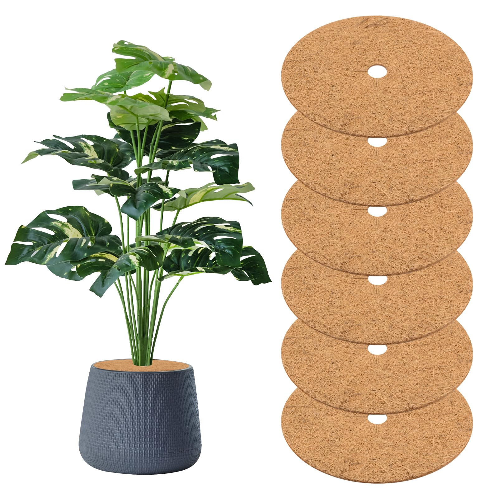 M METERXITY 6-Pack Coconut Fibers Mulch Ring Tree Protector Mat