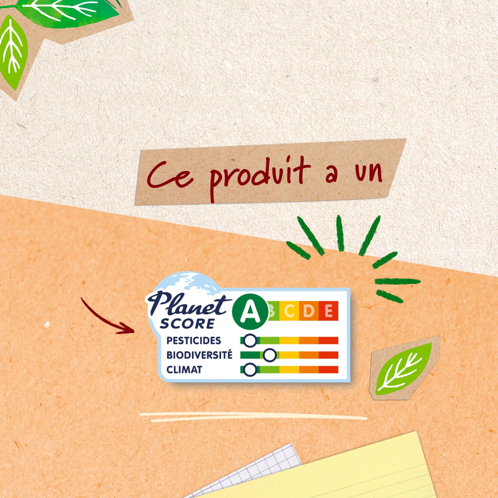 Jardin BiO étic – Pur Jus de Citron Jaune BIO 25cl – Lot de 6 bouteilles | Origine Sicile - 100% Pur Jus, Sans Additifs, Riche en Vitamine C - Agriculture Biologique – Equivalent 8 Citrons – BIO Malin
