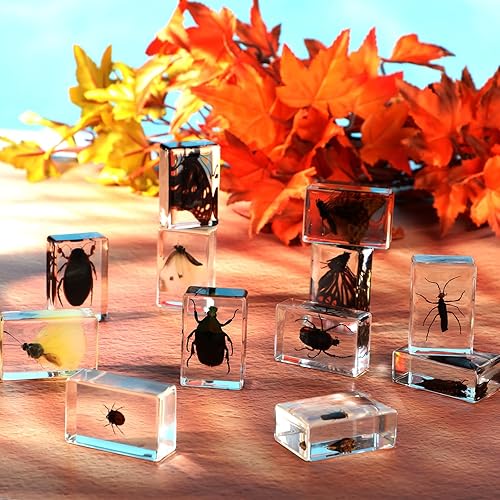 Vista 33 de 12 piezas de insectos en resina colección de insectos de resina de arácnidos, pisapapapeles de diferentes insectos para niños, juguete educativo