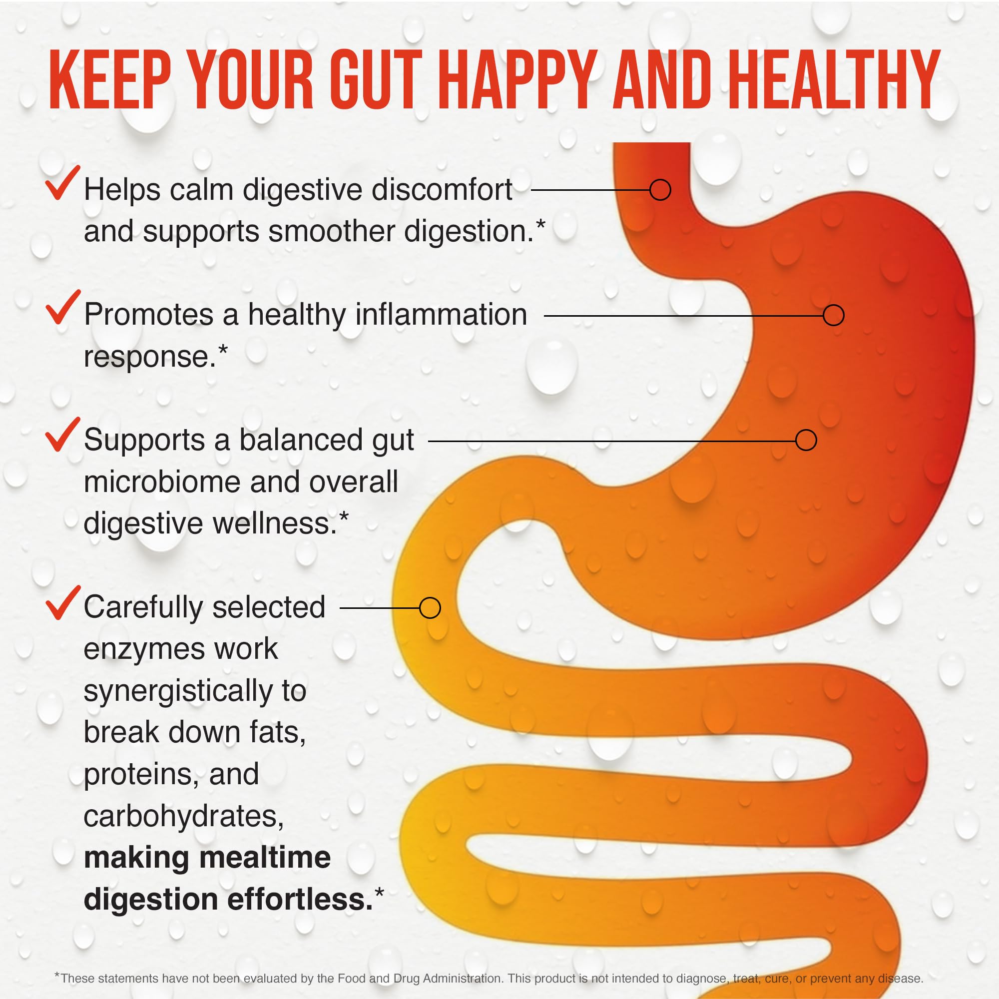 Advanced Liquid Digestion – Concentrated Daily Digestive Aid with Enzymes, Turmeric, Ginger & Fiber – Bloating Relief, Gut Health & Nutrient Absorption Support – 17oz Liquid — Amazon image 3
