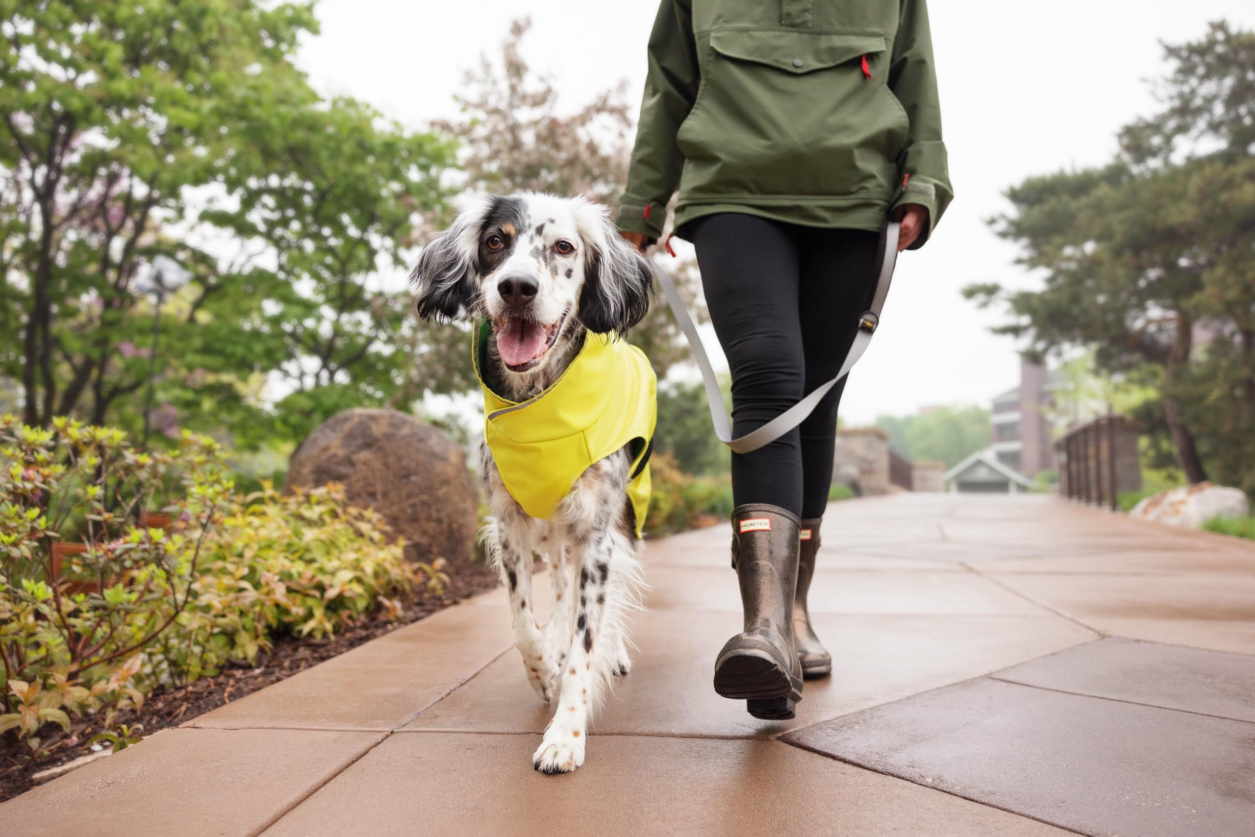 Goldpaw - Chaqueta impermeable para perro, abrigo impermeable para mascotas para protección en todo tipo de clima, ajuste ajustable y elegante ropa de abrigo canina, frijol negro, talla 18
