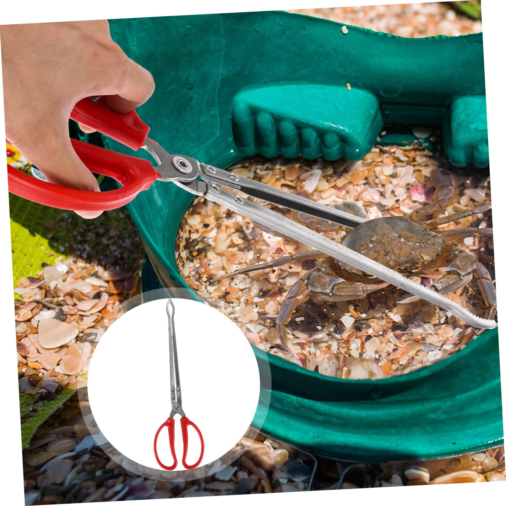 Pinze per Pescare Granchi in Acciaio Inossidabile Impugnatura Antiscivolo e Resistente, Accessorio Multifunzione per Catturare Pesci e Crostacei