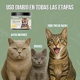 Ver la foto 5