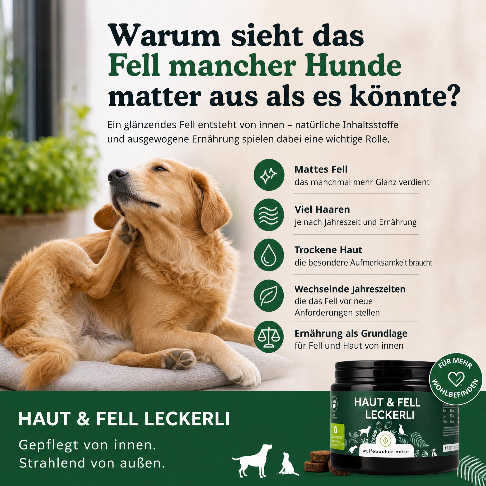 Omega 3 für Hunde - Mit Lachsöl, Kokosöl, Bierhefe | Haut & Fell Leckerli 4 x | Gegen Juckreiz, für gesunde Haut und glänzendes Fell