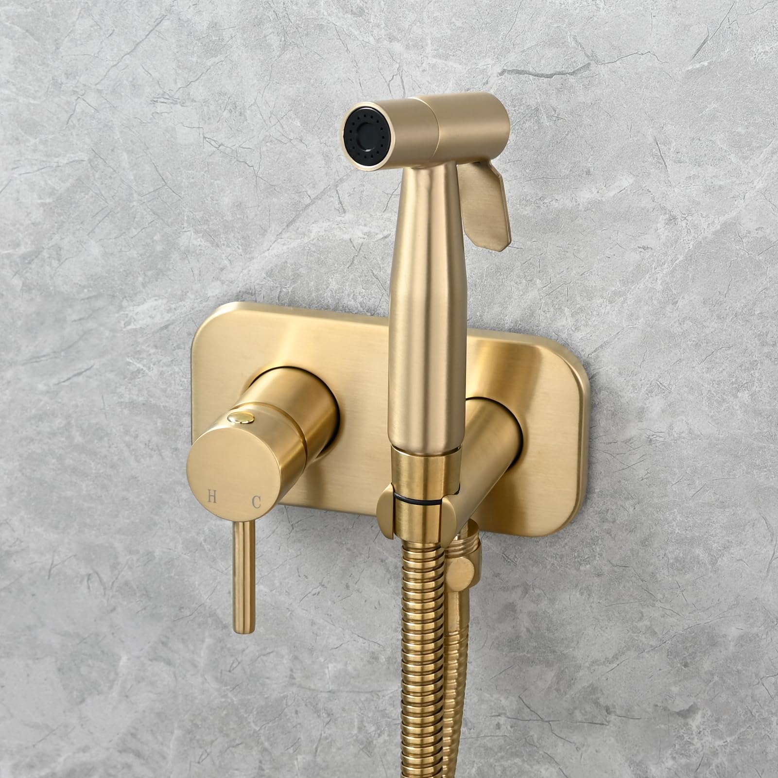 Tecmolog Acier Inoxydable Douchette WC Kit en Bidet Portable Tuyau de Douche Eau Chaude et Eau Froide Bidet Toilette Kit Complet, Or Brossé, WS024J2F2