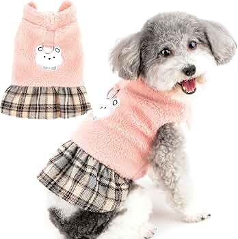 81p7YoRXJML._AC_UF350,