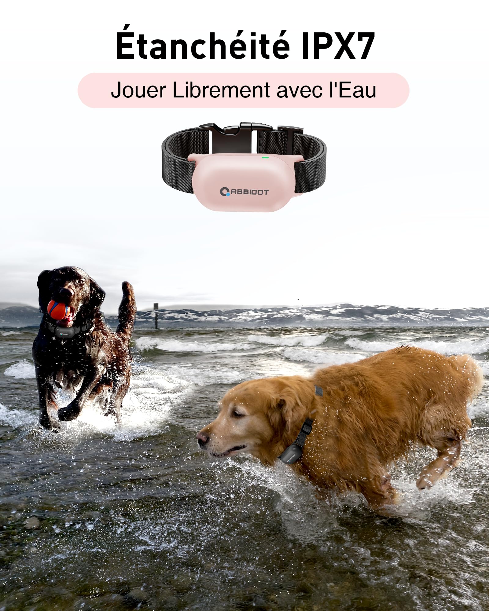 ABBIDOT Collier de Dressage pour Chien - Portée de 1.5km, 3 Modes de Dressage, Bip Vibration Sûr Choc, Collier Electrique pour Petits et Grands Chiens, Étanche Rechargeable, Poids Léger (6-55 kg)