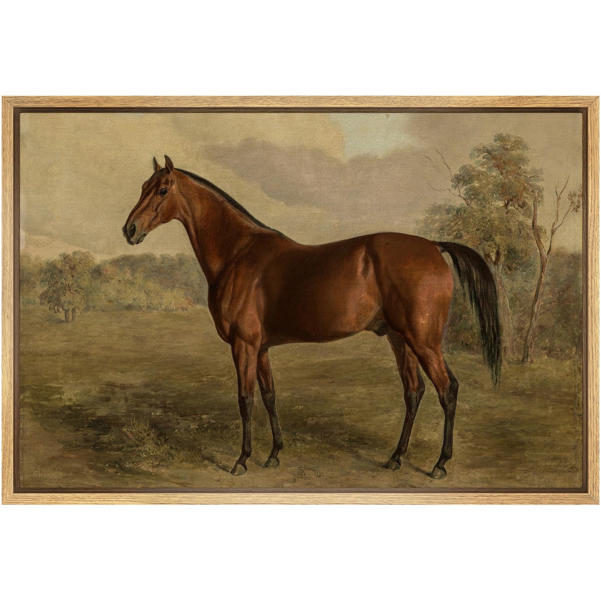 Amazon.com: SIGNFORD Framed Canvas Print Wall Art Equestrian