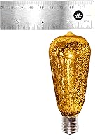 Vista 5 de Hometown Evolution, Inc. Guirnalda de luces doradas para patio al aire libre (50 pies, bombillas de mercurio ST40 - cable negro)