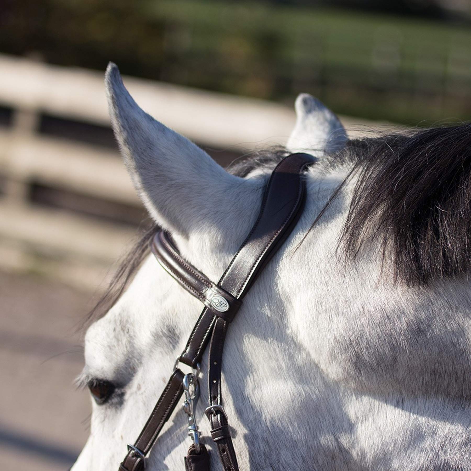 QHP - Salvagente trense Sunna - Size Pony