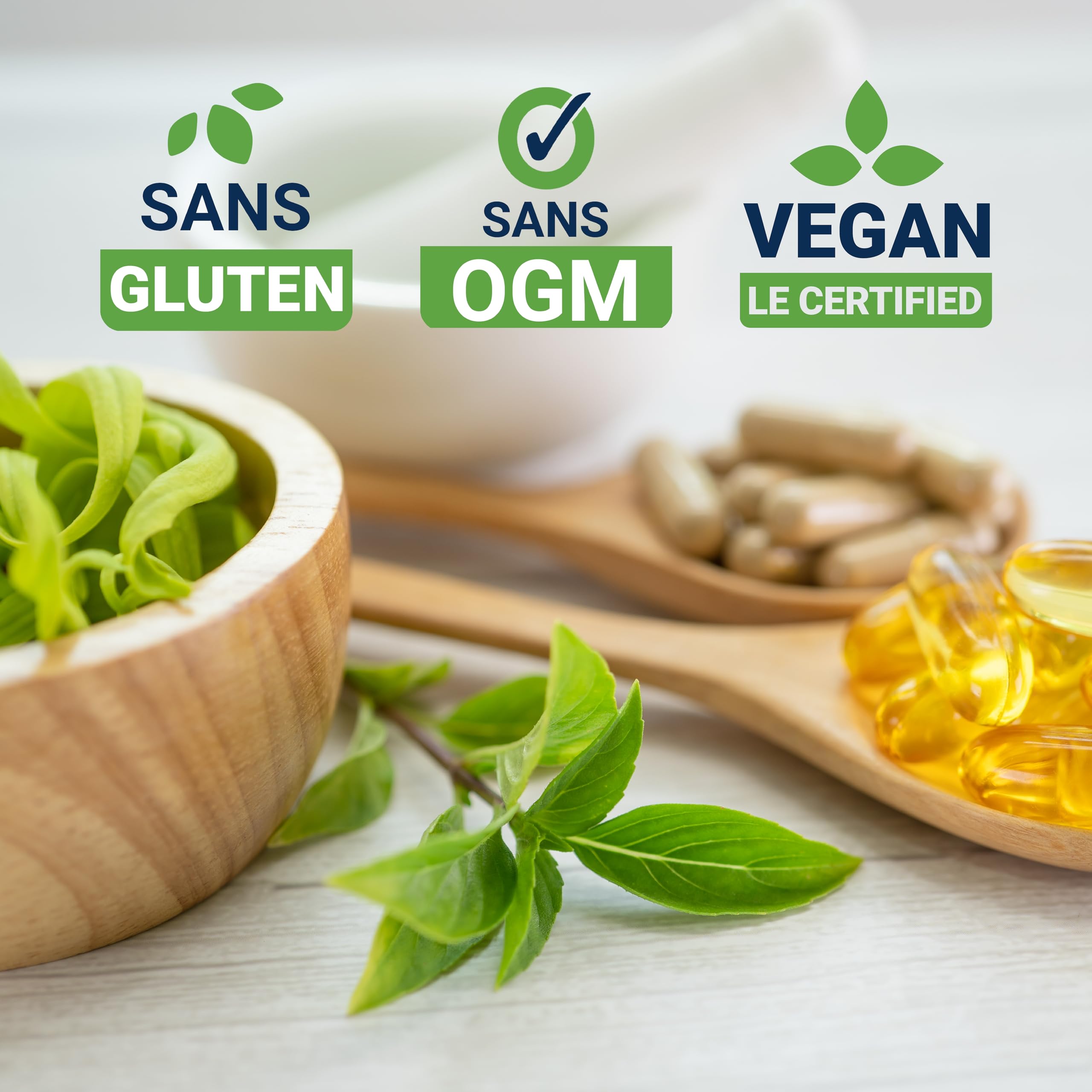 Life Extension, Arterial Protect, Extrait d'Écorce de Pin et Gotu Kola, 30 Capsules végétaliennes, Sans Gluten, Végétarien, Sans Soja, Sans OGM