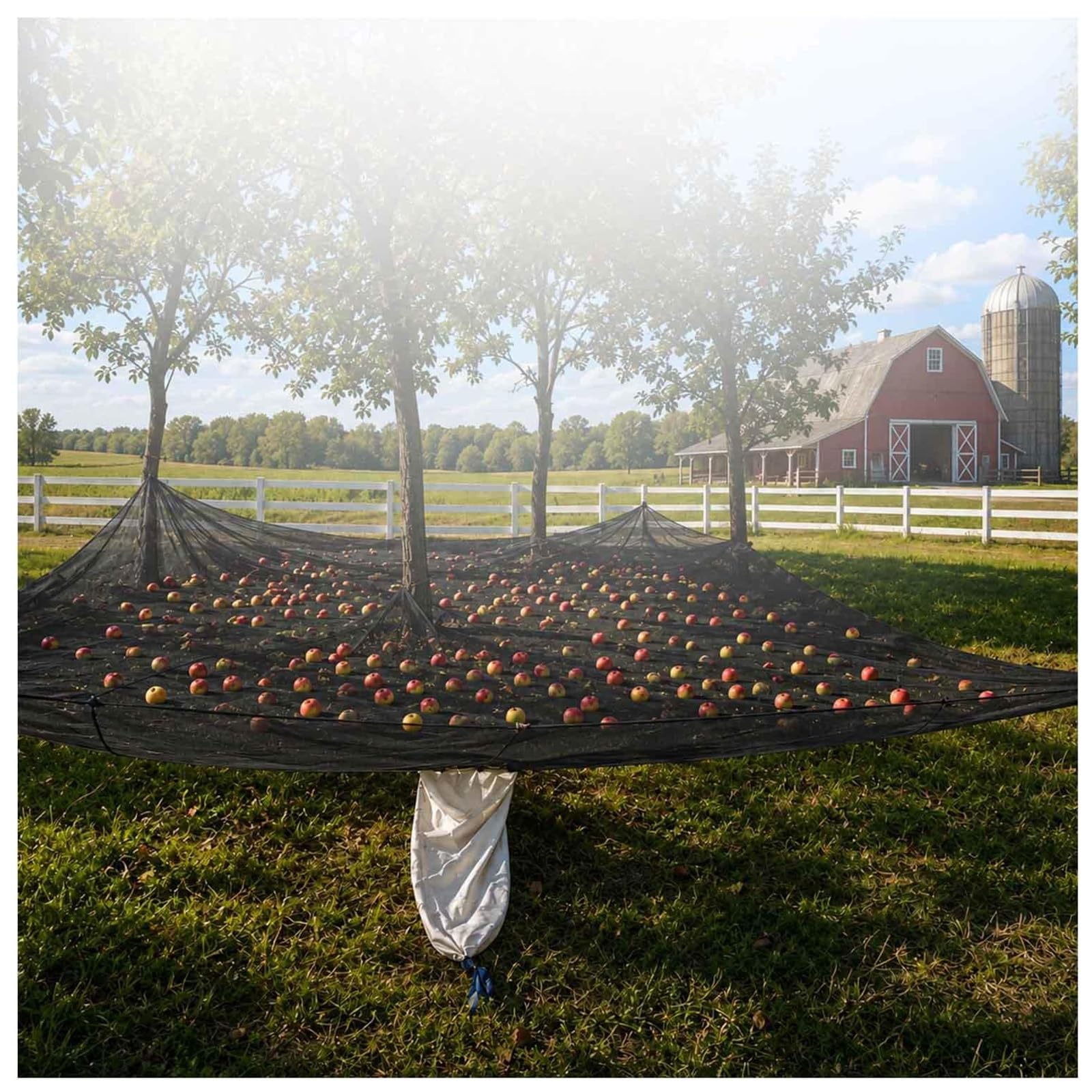 Red de cosecha para recolector de frutas con exportación de frutas 20 pies | Correa de cuerda lateral de aro y bucle, red de recolección de frutas para cosecha agrícola reutilizable para árboles