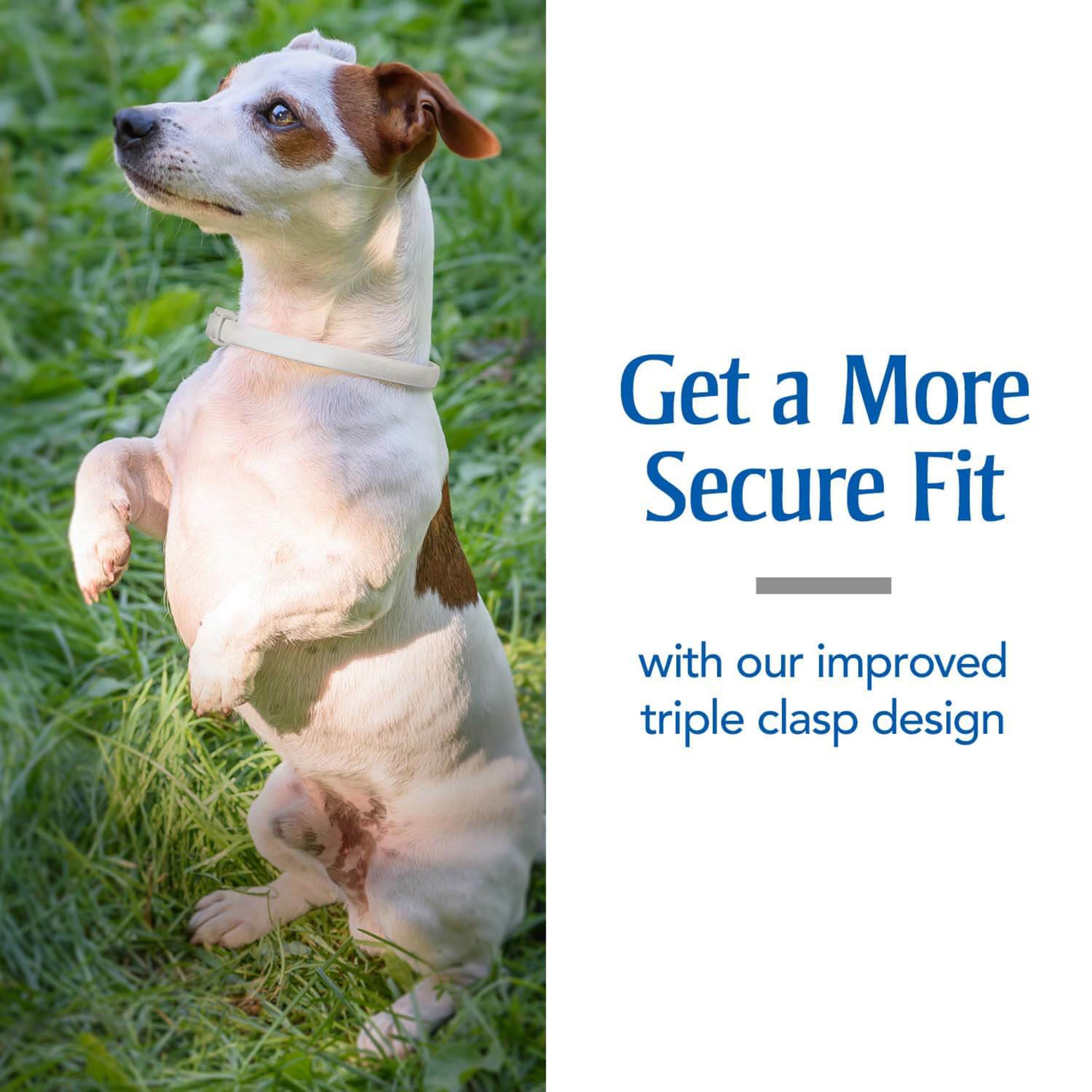 do deshedding shampoos work