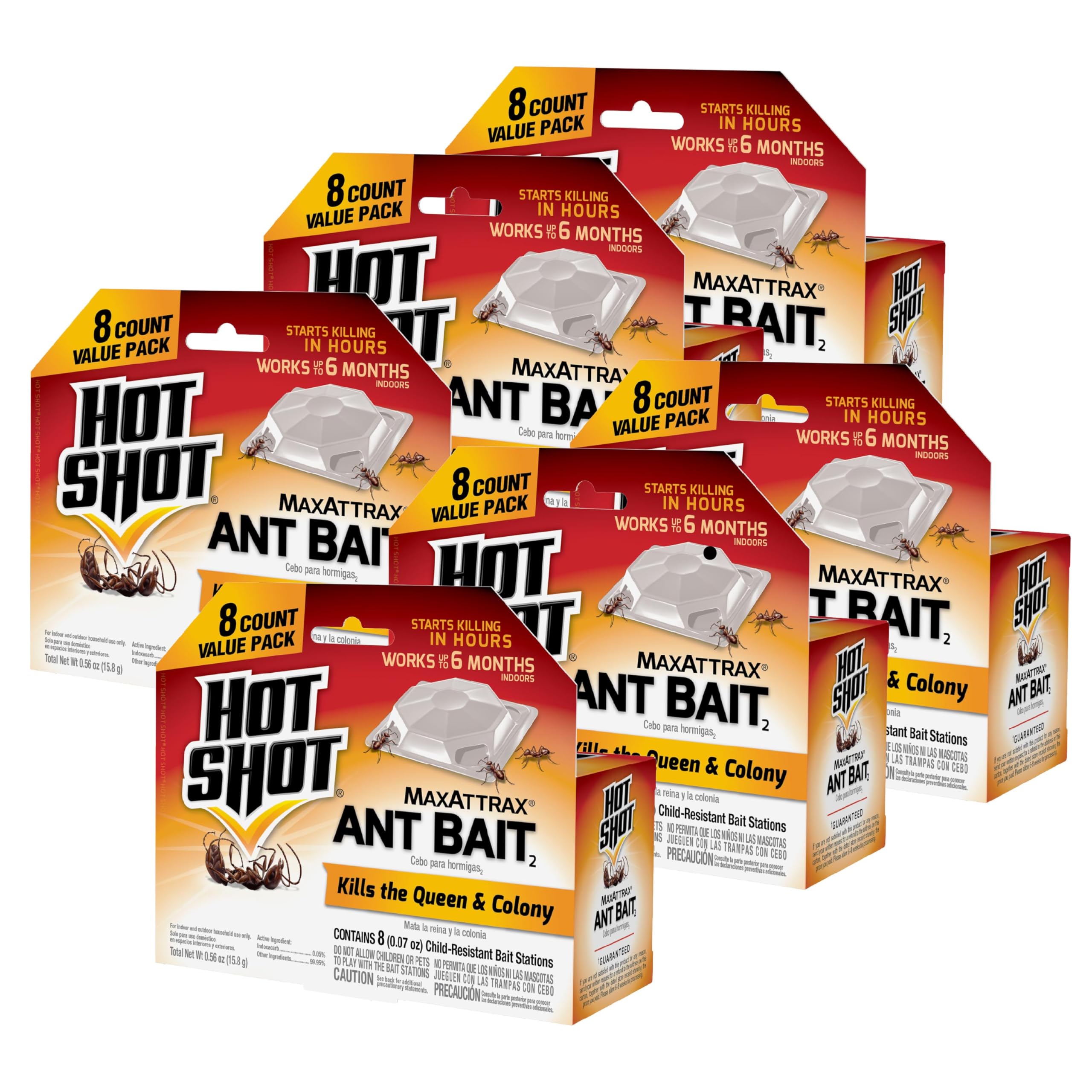 Amazon.com : Hot Shot MaxAttrax Ant Bait 8 Count, Child-Resistant