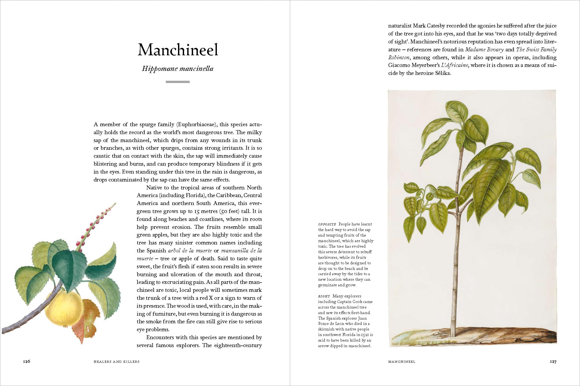 Remarkable Trees