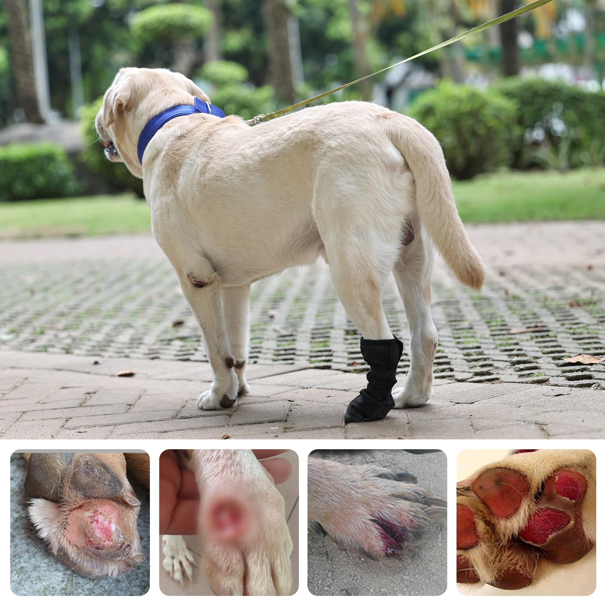 ETIAL Dog Paw Wound Recovery Boot, Breathable Dog Bootie for Injured Paw, Anti-Slip Dog Shoe with Self-Adhesive Strap, Dog Paw Protector for Outdoor Walking & Keep Dogs from Licking Wounds (M) - image 6