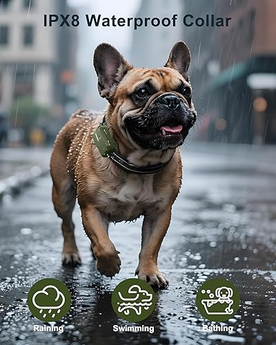 Miniatura 4 de Jugbow Collar de choque para perro, collar de entrenamiento para perros de 4500 pies con control remoto, IPX8 impermeable, collar eléctrico para