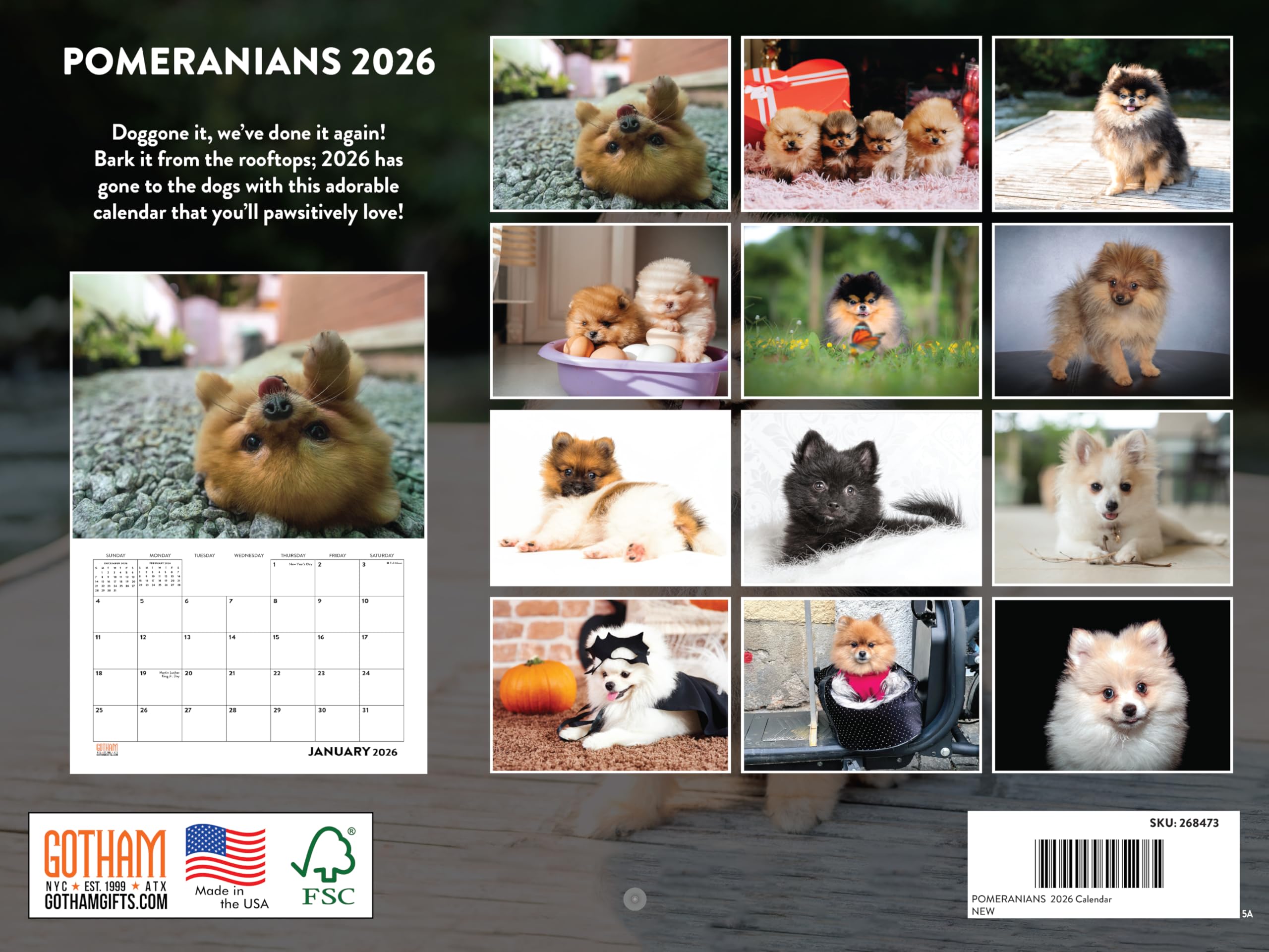 View 2