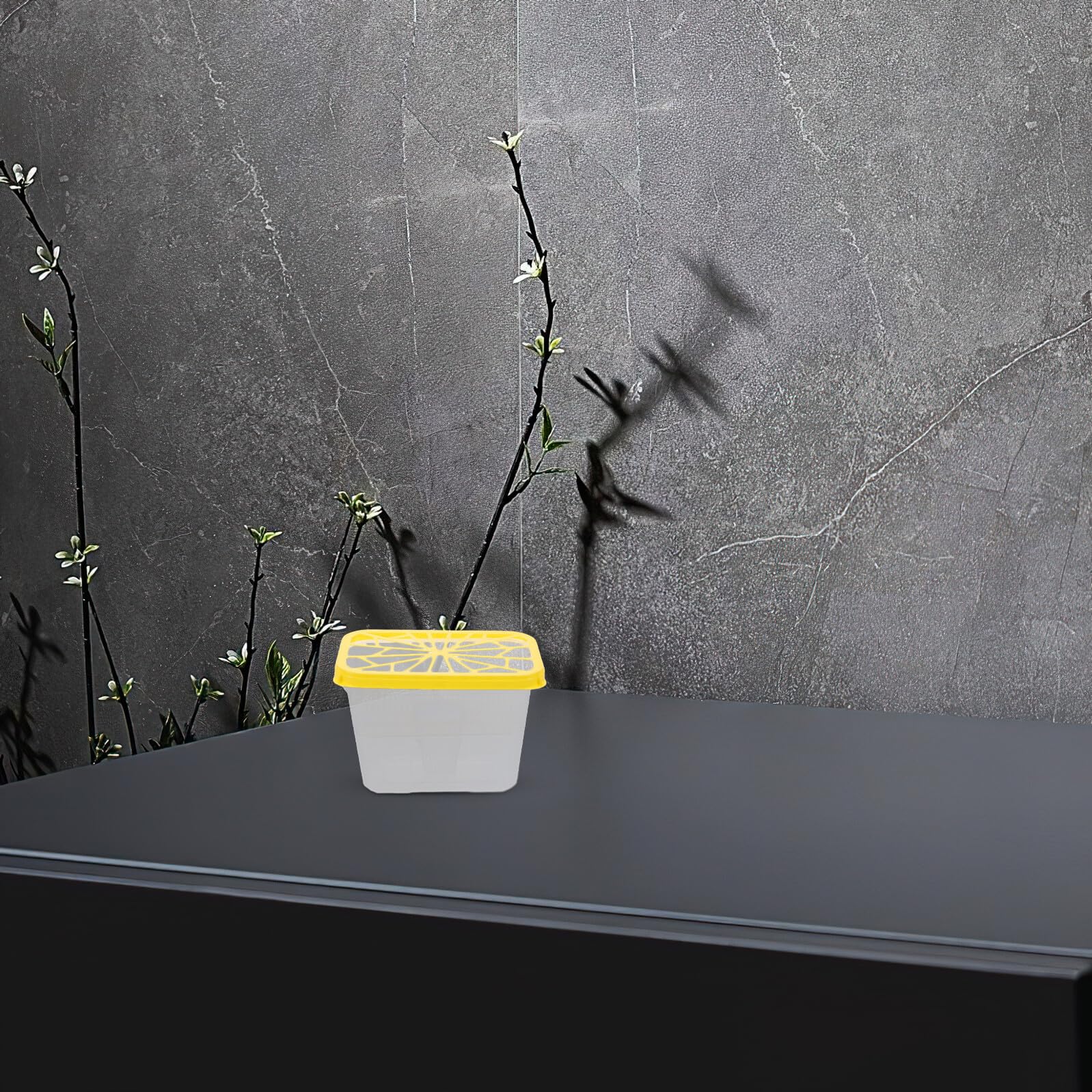 Caja Vacía Absorbente de Humedad 4 Piezas Plástico Amarillo