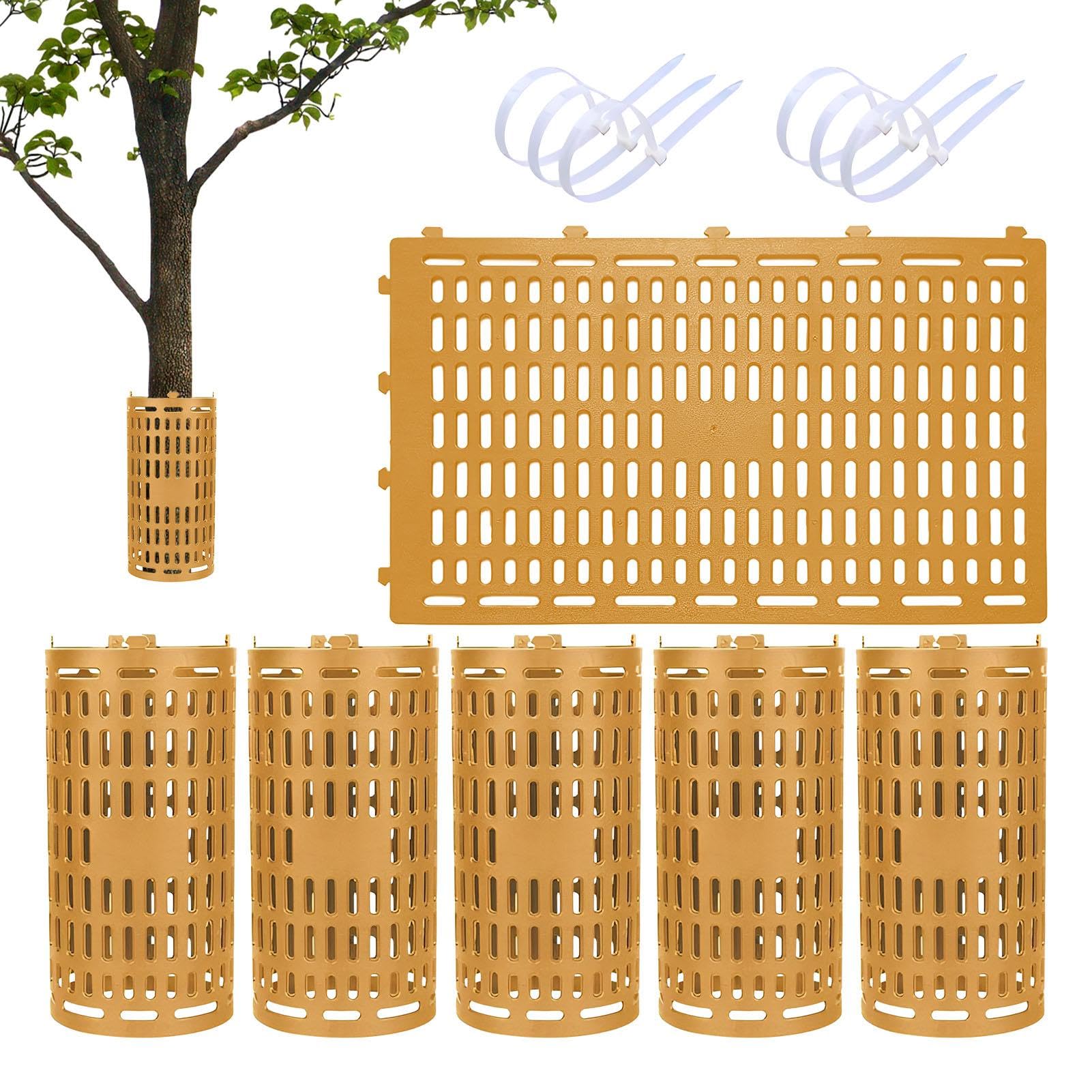 Protection de jardin pour jeunes arbres lors de la tonte de pelouse