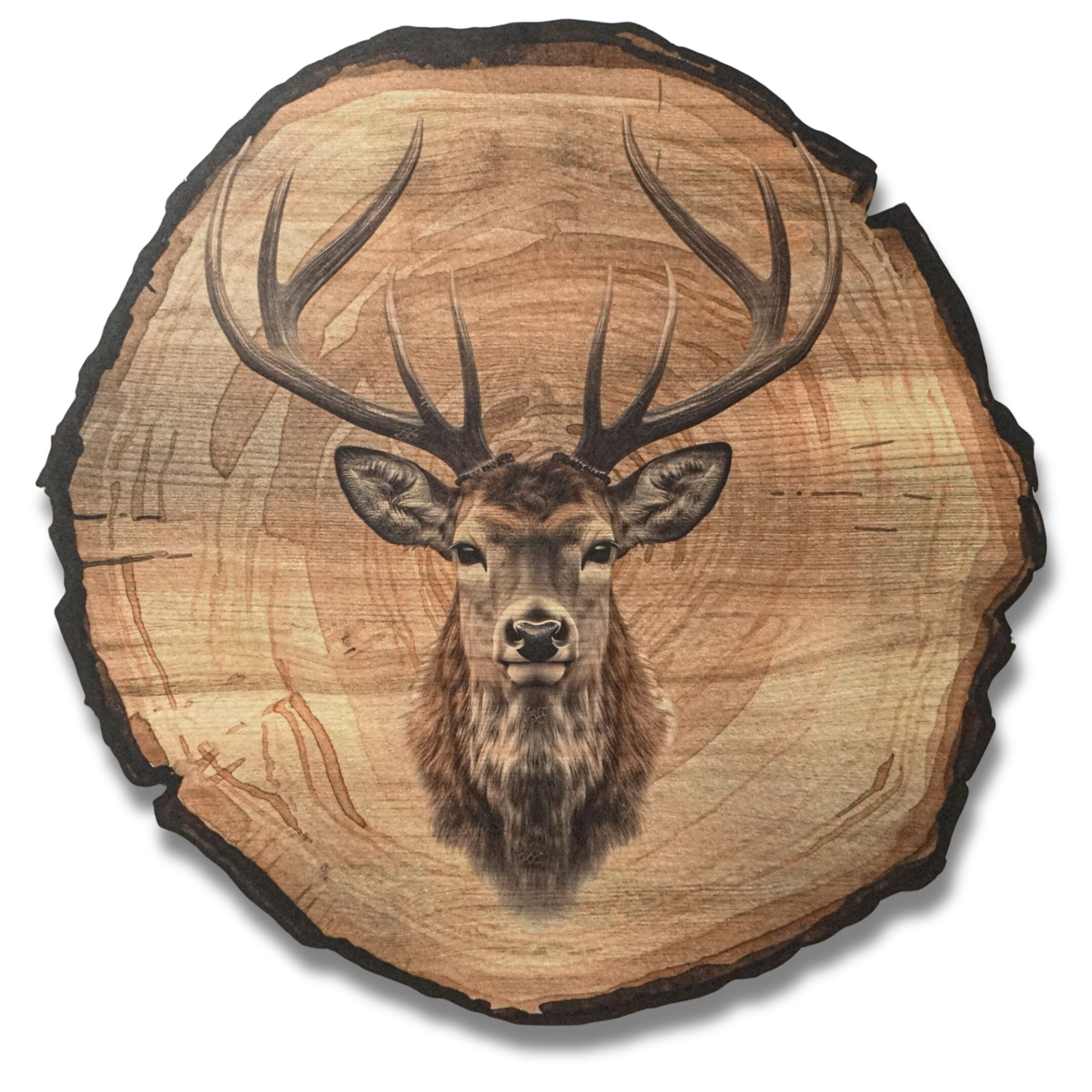 Tableau mural cerf 45 cm DARO Design – Impression d'art prête à accrocher décoration chasse nature animaux