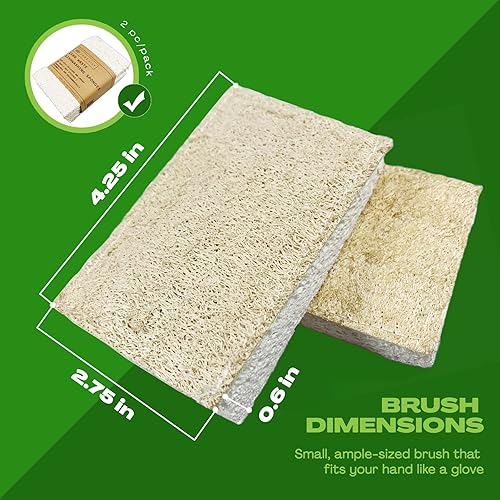 Miniatura 7 de June Lily Esponja natural para platos de cocina, vegana, a base de plantas, para lavar platos, limpieza del hogar, cada paquete contiene 2 esponjas