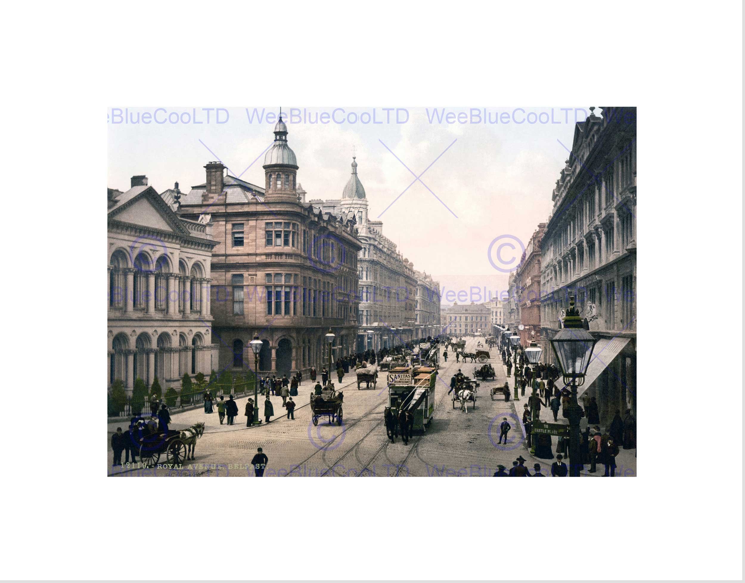 Wee Blue Coo Photo Northern Ireland Royal Avenue Belfast Street City Wall Art Print