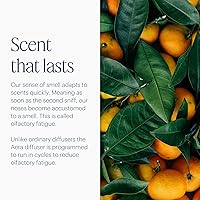 Vista 7 de Aera Difusor de fragancia de aceites esenciales para el hogar, enchufe inteligente de aromaterapia eléctrico sin agua, Wi-Fi y aplicación/control