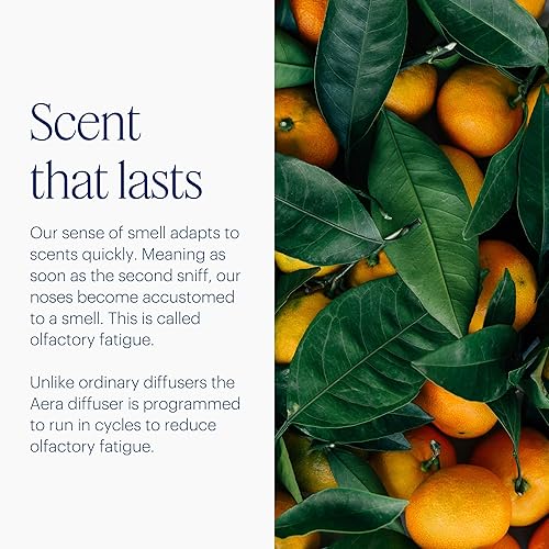 Miniatura 7 de Aera Difusor de fragancia de aceites esenciales para el hogar, enchufe inteligente de aromaterapia eléctrico sin agua, Wi-Fi y aplicación/control