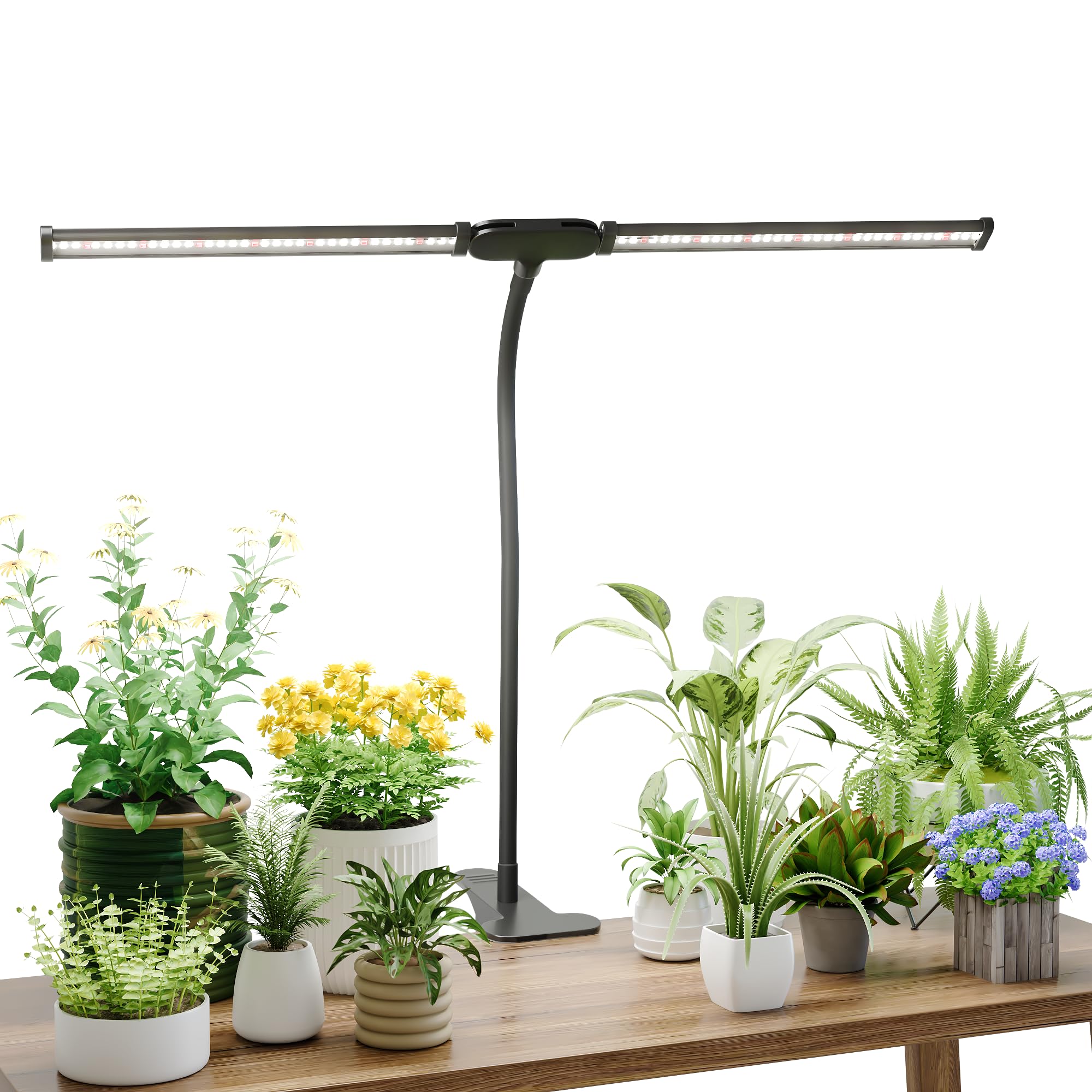 Juhefa LED Grow Light,Super Bright 6000K White Full Spectrum Clip Plant Growing Lamp with Rotatable Dual Head for Indoor Desk Plants,Dimmable & Timer 4/8/12H,High Power Output for Faster Growth,1-Head