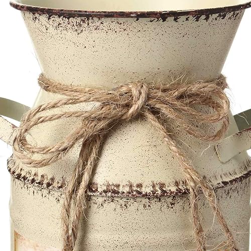 Miniatura 4 de AN Z7E8 Jarrón de hierro, acrílico