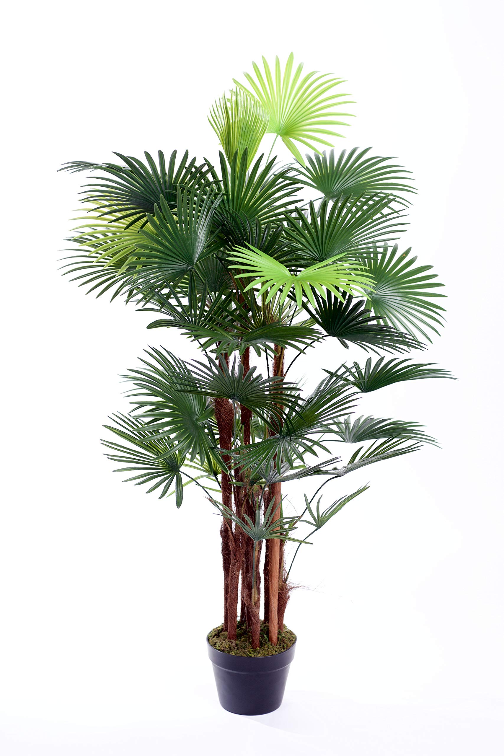 Best Artificial Green Spider Finger Palm Tree Tropical Office Conservatory Indoor Outdoor Garden Plant … (4Ft / 120Cm)
