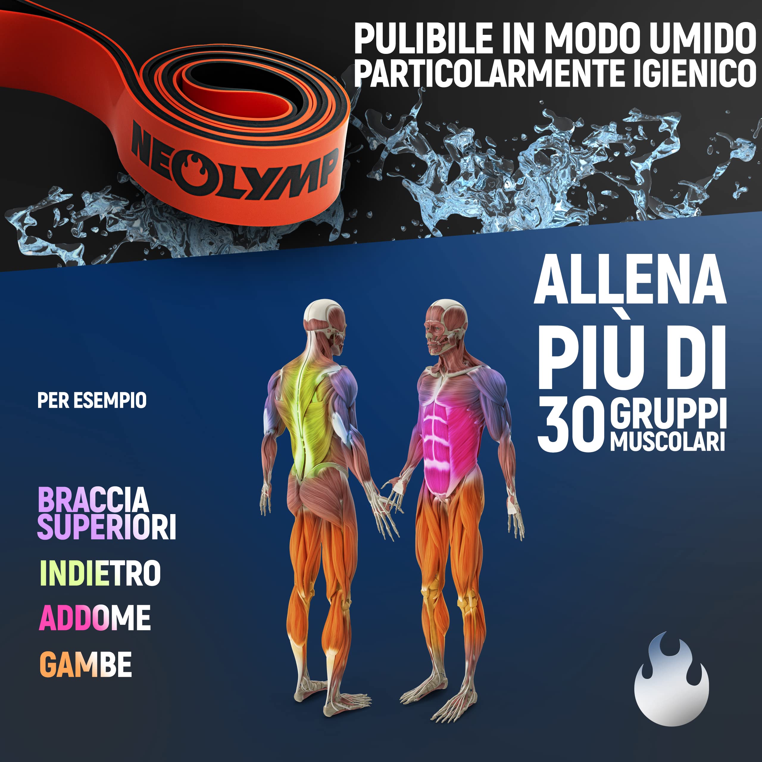 Fasce Elastiche Fitness Neolymp - Set Per Allenamento, Yoga, Pilates, Con Borsa Ed E-Book - Foto 2