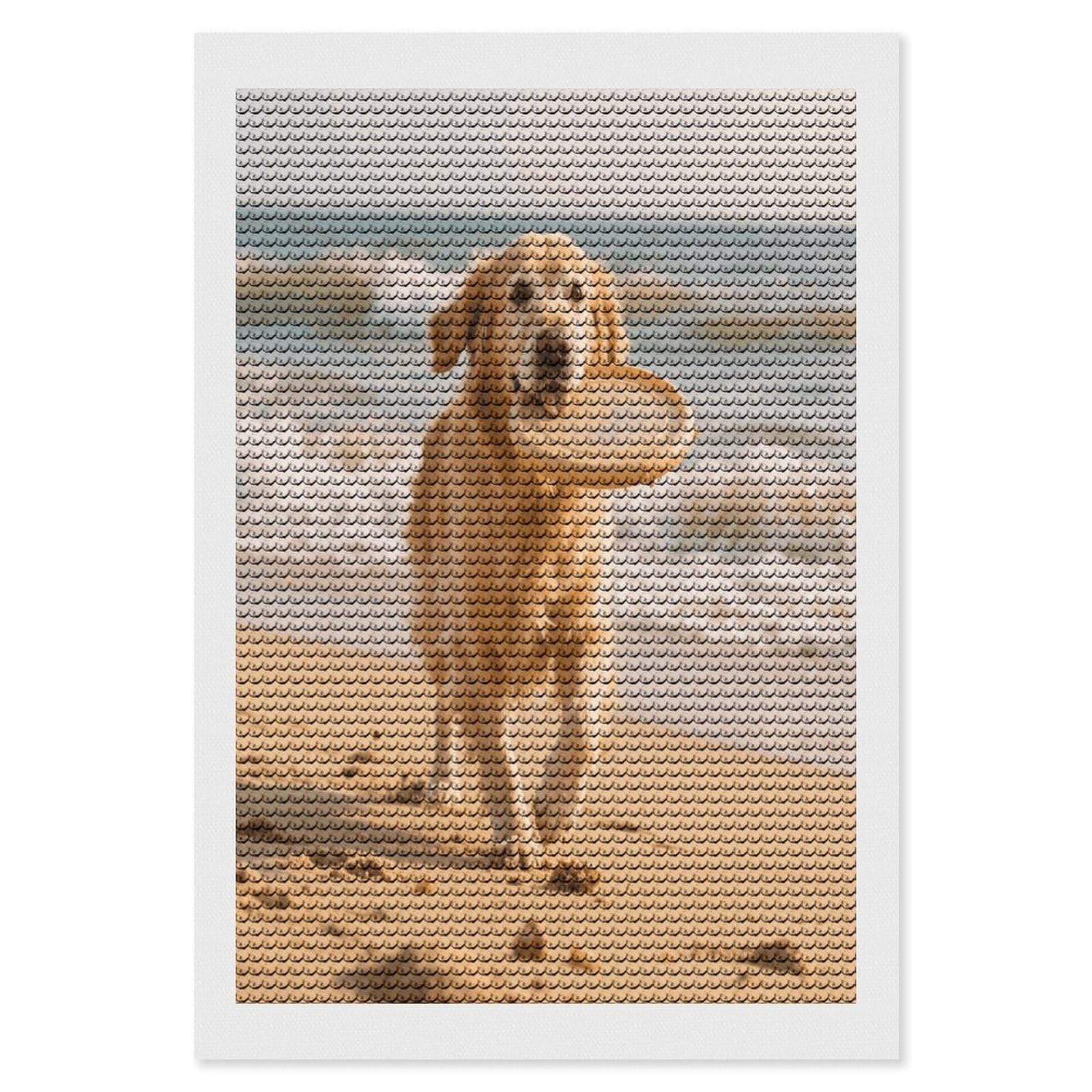 VstaDank Golden Retriever Dog Diamond Painting Kits Exquisite DIY Full Round Drill Diamond Dots Painting for Adults Beginner Diamond Photo Paint with Diamond Picture Art Wall Decor 8"x12"