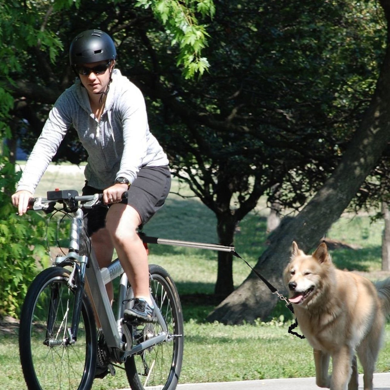 PETCUTE Correa para Perros para Bicicletas Bicicleta Manos Libres Correa de Entrenamiento para Perros