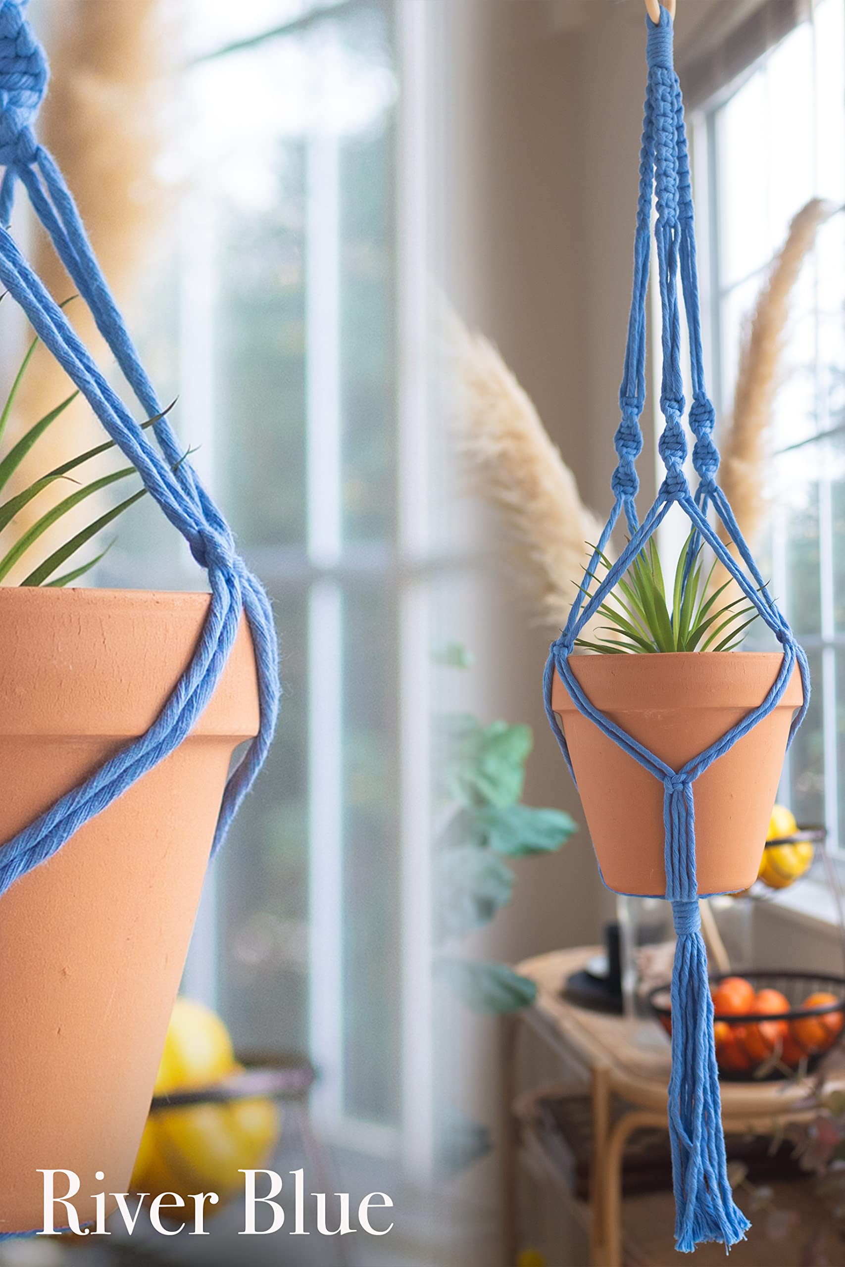 Kit de macramé, hace 3 ganchos de plantas para adolescentes y adultos principiantes, suministros de manualidades para proyectos de arte bohemio, 3 cordones de macramé de color personalizado, anillos
