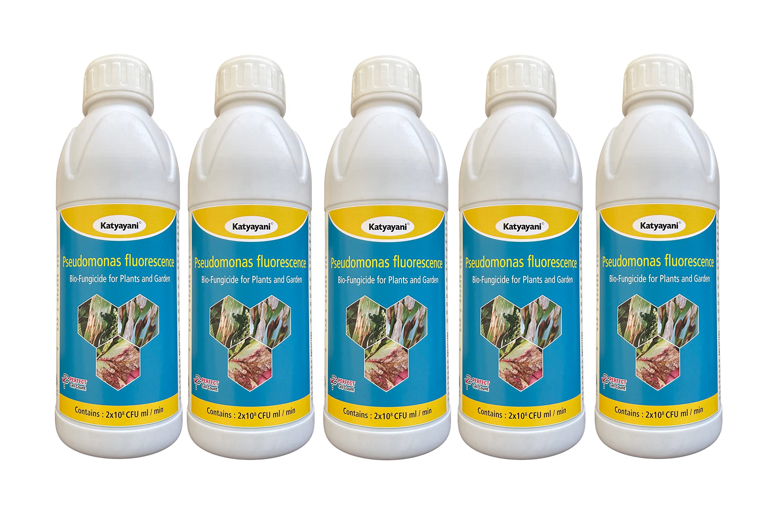 Buy Katyayani Bio Fungicide With Silicon Spreader For s and Home Garden