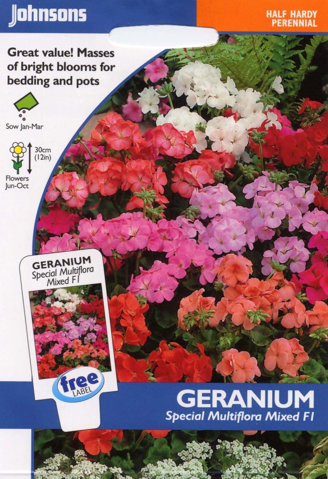 Johnsons Seeds - Pictorial Pack - Flower - Geranium Special Multiflora Mixed F1-10 Seeds