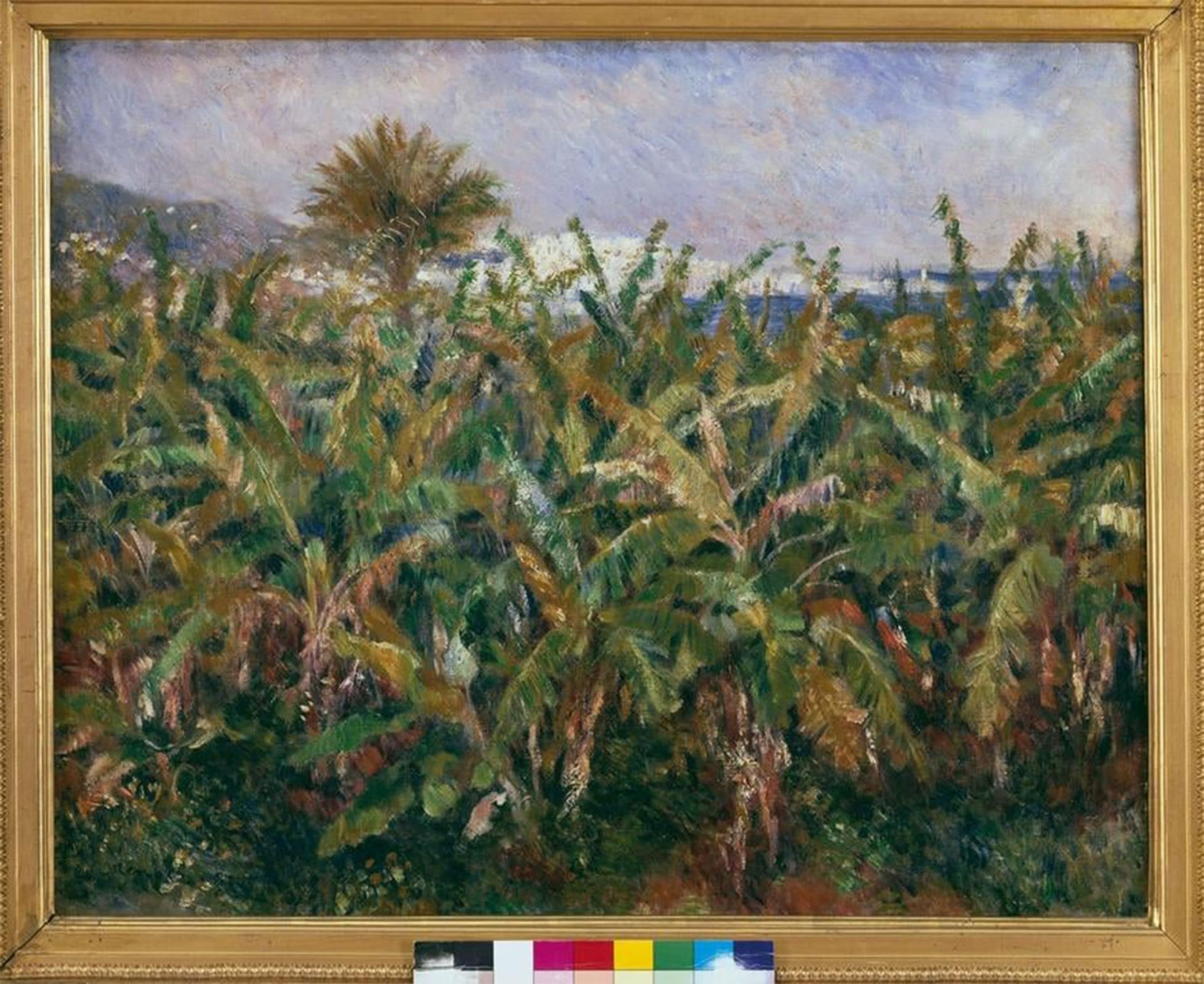 POSTERIIk Famous Print Pop Art Wall Art Graffiti Banana Field by Pierre Auguste Renoir Art Prints for Home Decor 60x90cm