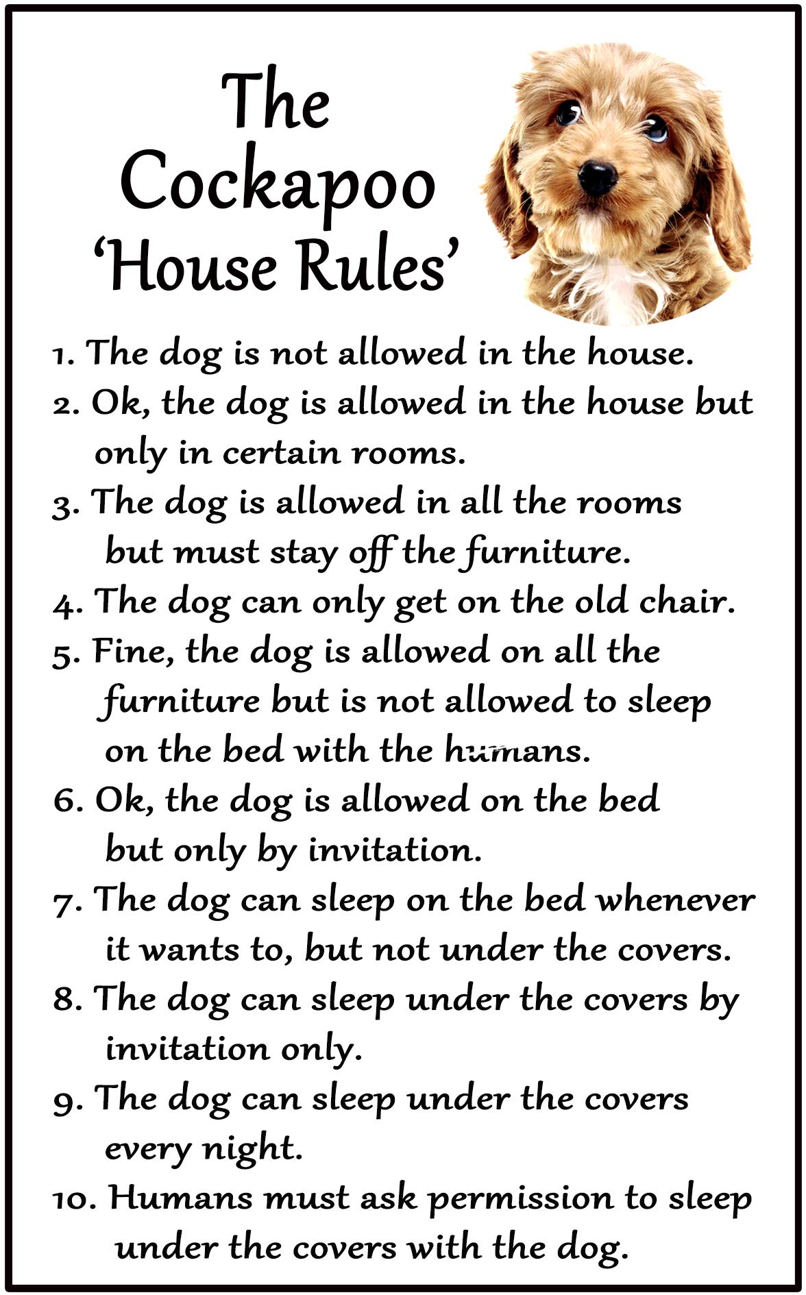 Fridge Magnets Multicolor Cockapoo Gift - House Rules - Large Fun Flexible Fridge Magnet- Size 16Cms X 10 Cms (Approx. 6" X4")