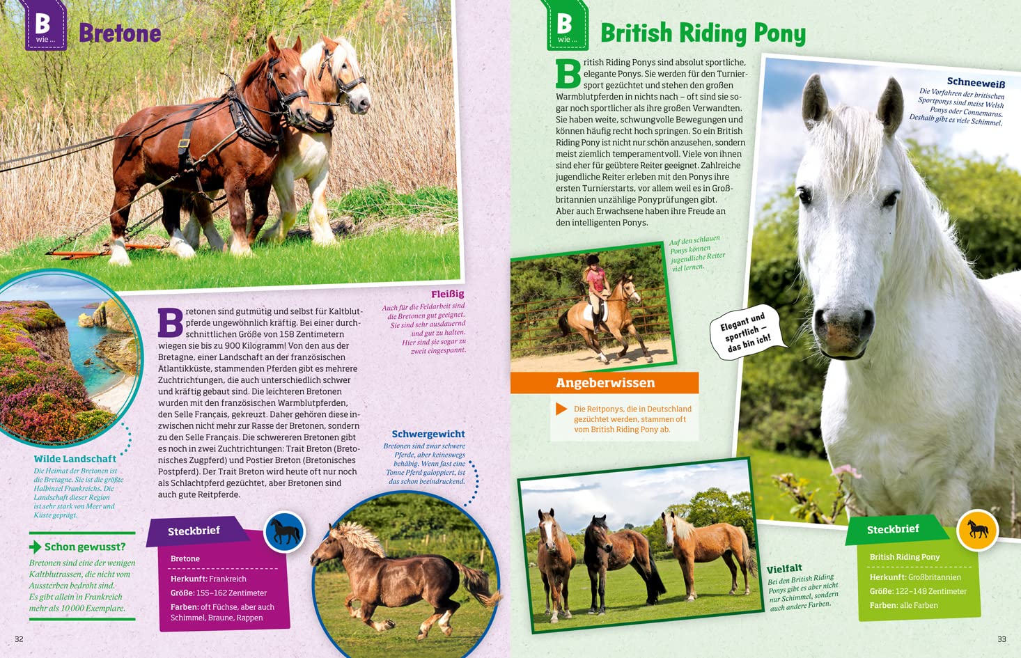 Was ist was: Pferde und Ponys: mehr als 100 Pferderassen und ihre Besonderheiten, über 650 Fotos!