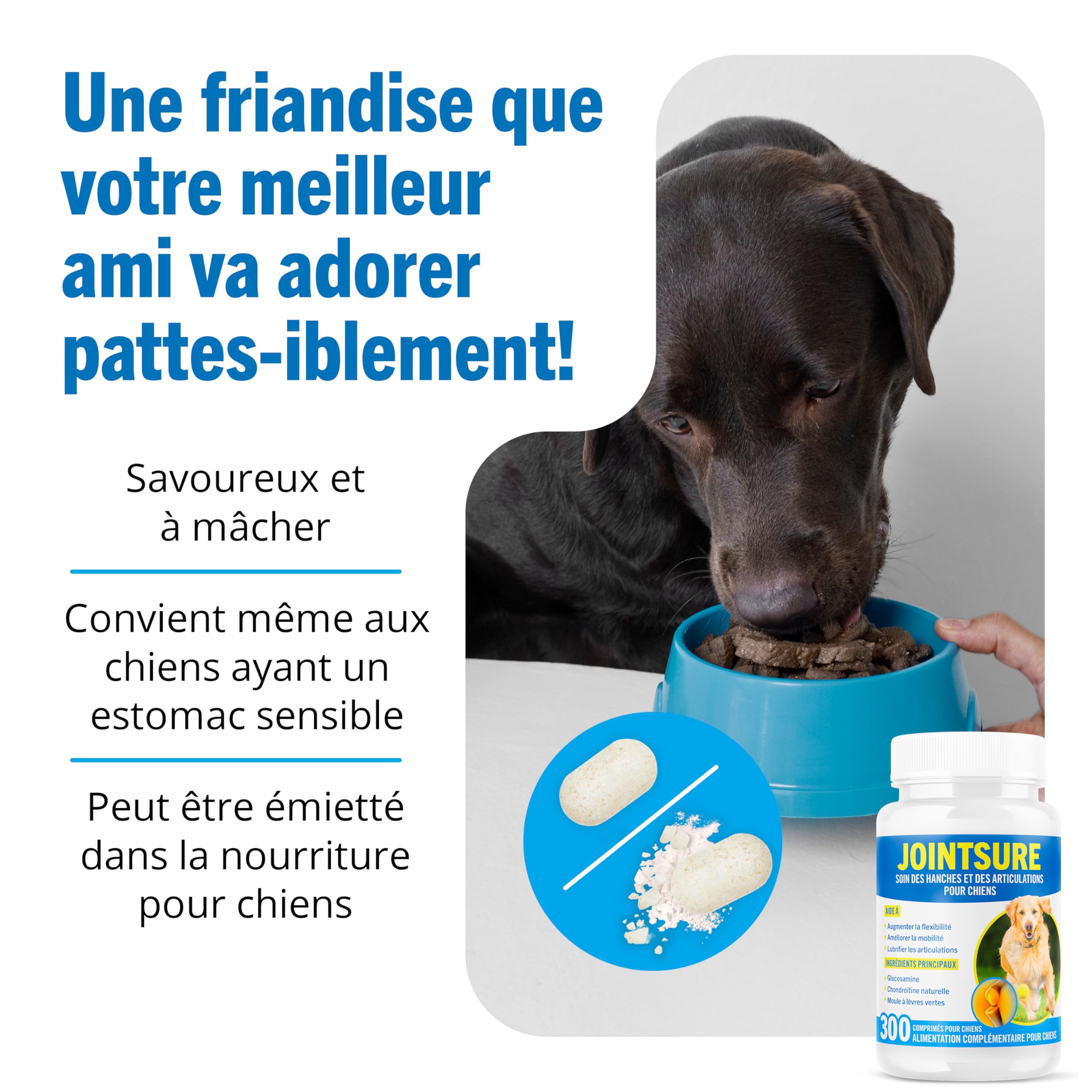 JOINTSURE Senior – Comprimés Premium de Soin articulaire avancé pour Chiens | 120 comprimés avec glucosamine et Moule Verte pour la mobilité et la solidité des articulations