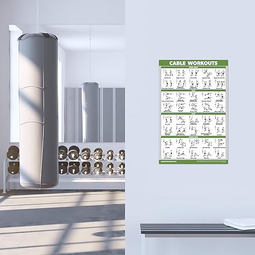 Miniatura 5 de QUICKFIT - Máquina de cables para póster de entrenamiento, una tabla de ejercicios para estación de entrenamiento de cable, laminada, gimnasio, 18 x