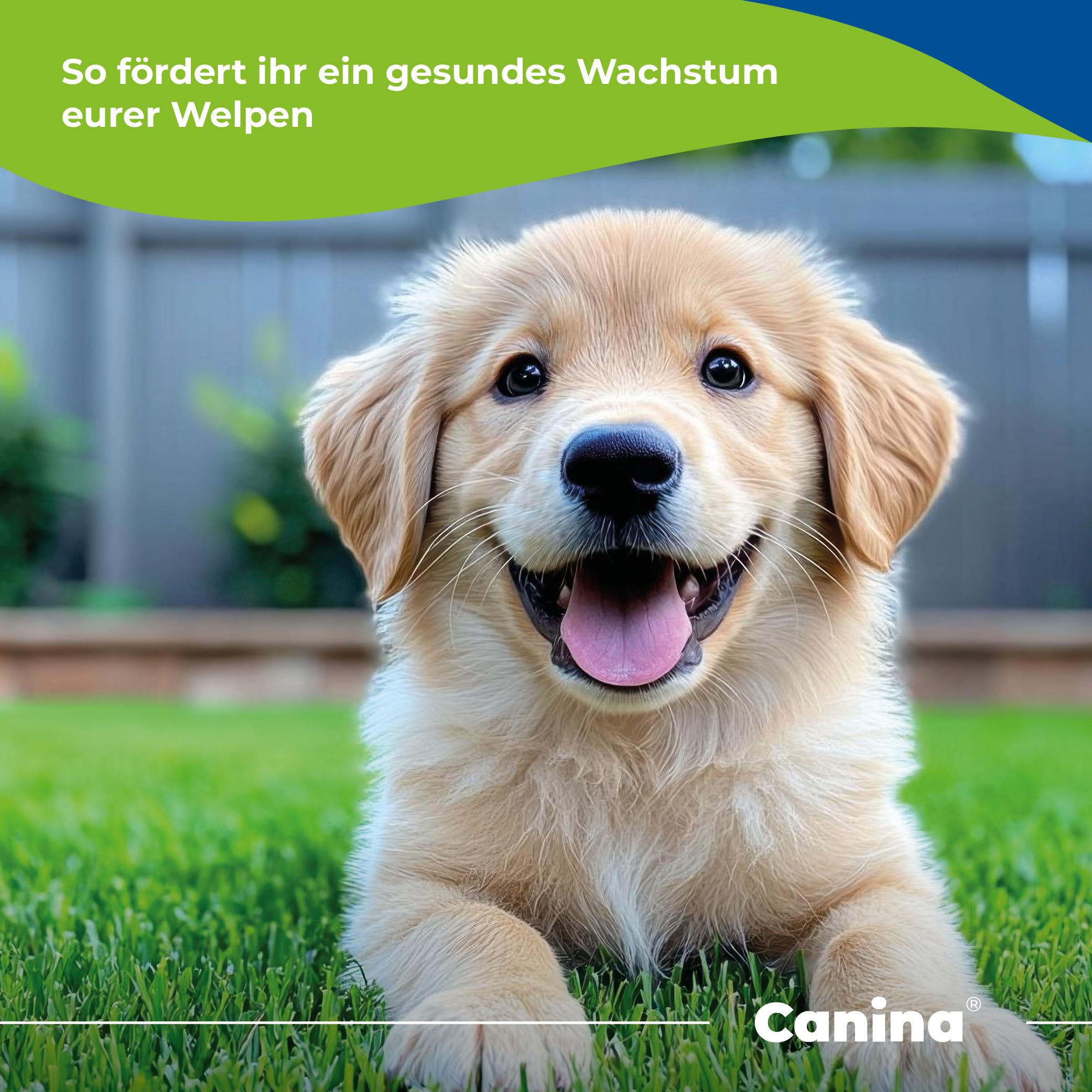 Canina Welpenmilch, 450 g