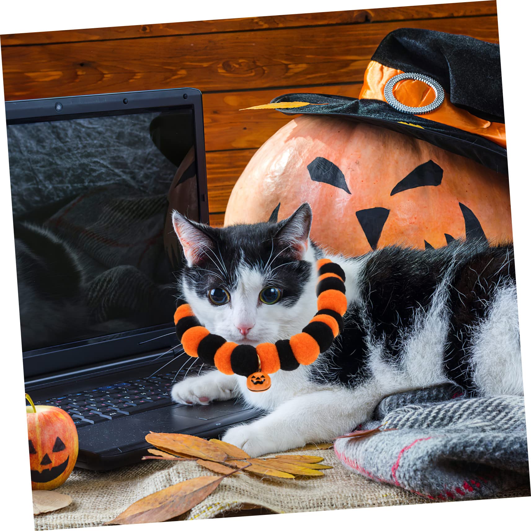 BESPORTBLE 10stücke Verstellbares Katzenhalsband Mit Kürbisglocken Bequeme Dekoration Für Halloween-Partys Weiches Und Sicheres Für Und Kleine Hunde Für Fotoshootings