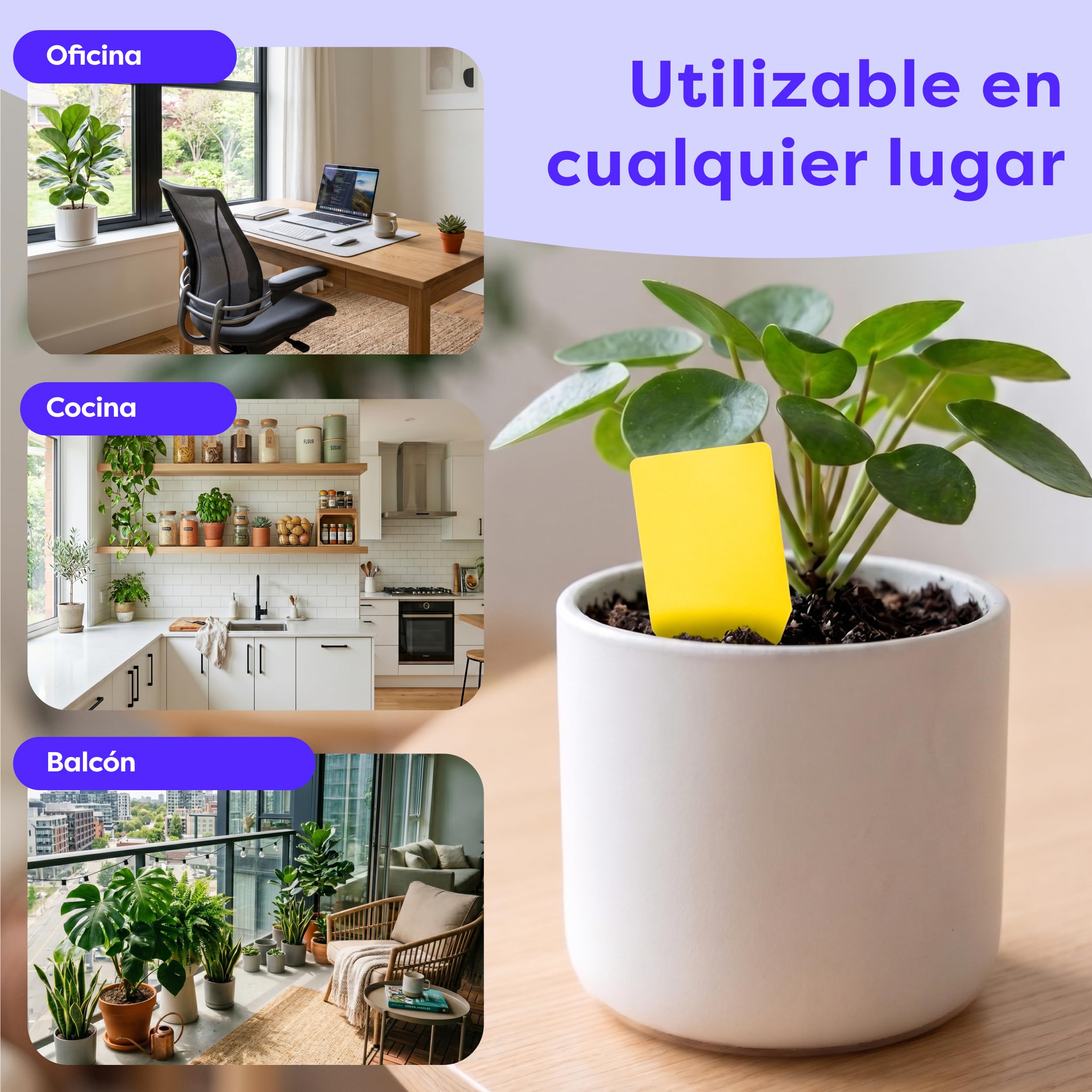 Wolkenfeld Trampa Moscas Plantas 60 Piezas Pegatinas – Trampas Amarillas para Insectos, Atrapa Mosquitos Adhesivo Doble Cara, Sin Insecticida – Interior, Macetas y Invernadero – Made in Germany