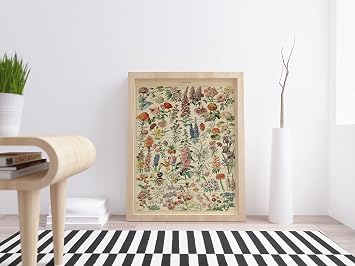general Flower Varieties Artistic Poster 50x70 cm HBA009