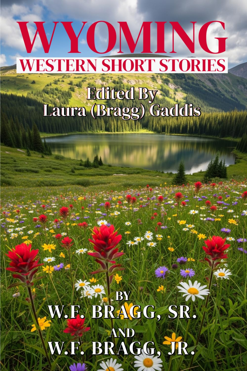 WYOMING WESTERN SHORT STORIES