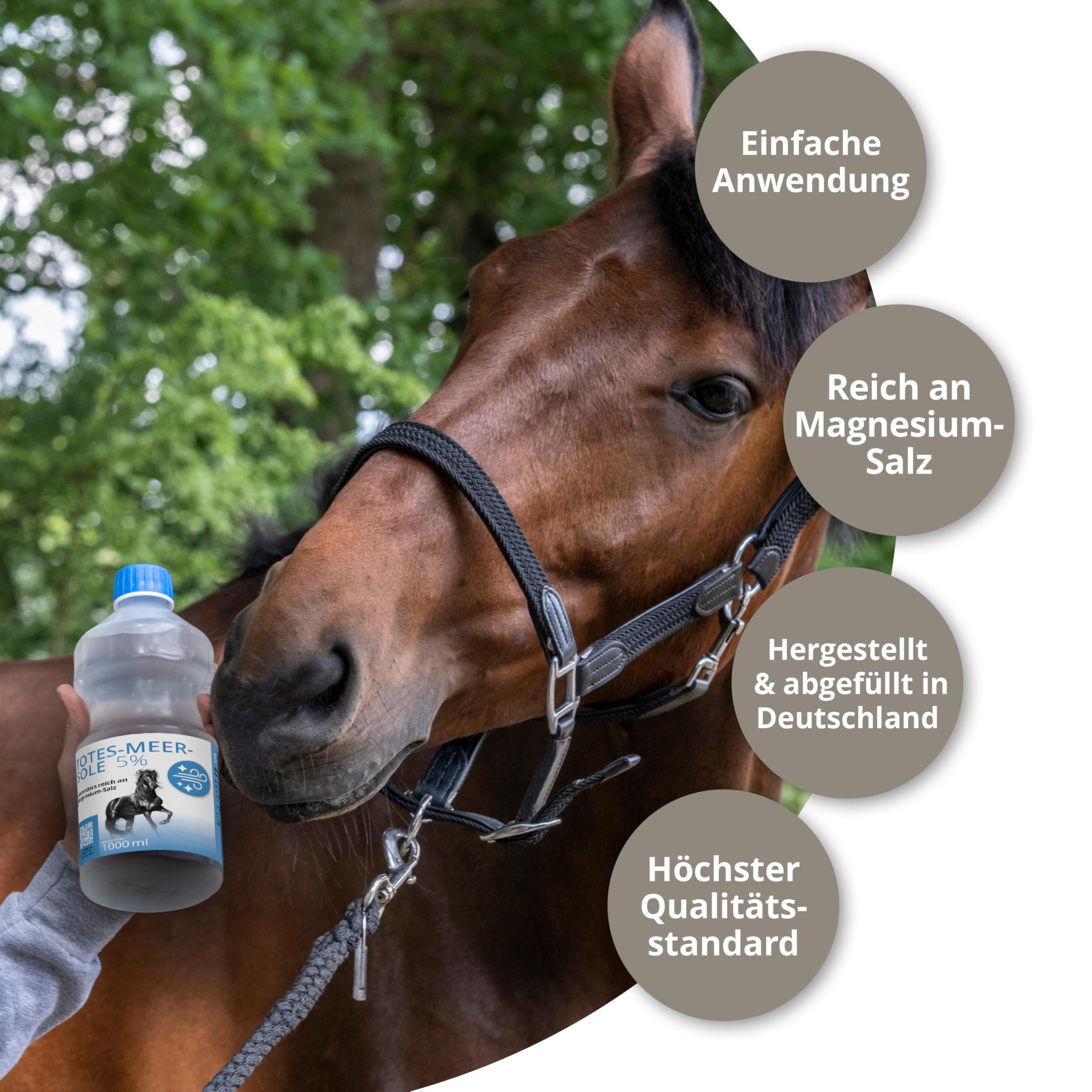STRÖH "Totes Meer Sole 5%" (1l) Inhalation • Regeneration der Atemwege bei Pferden • Bei Atemwegserkrankungen, Allergie & Ekzeme