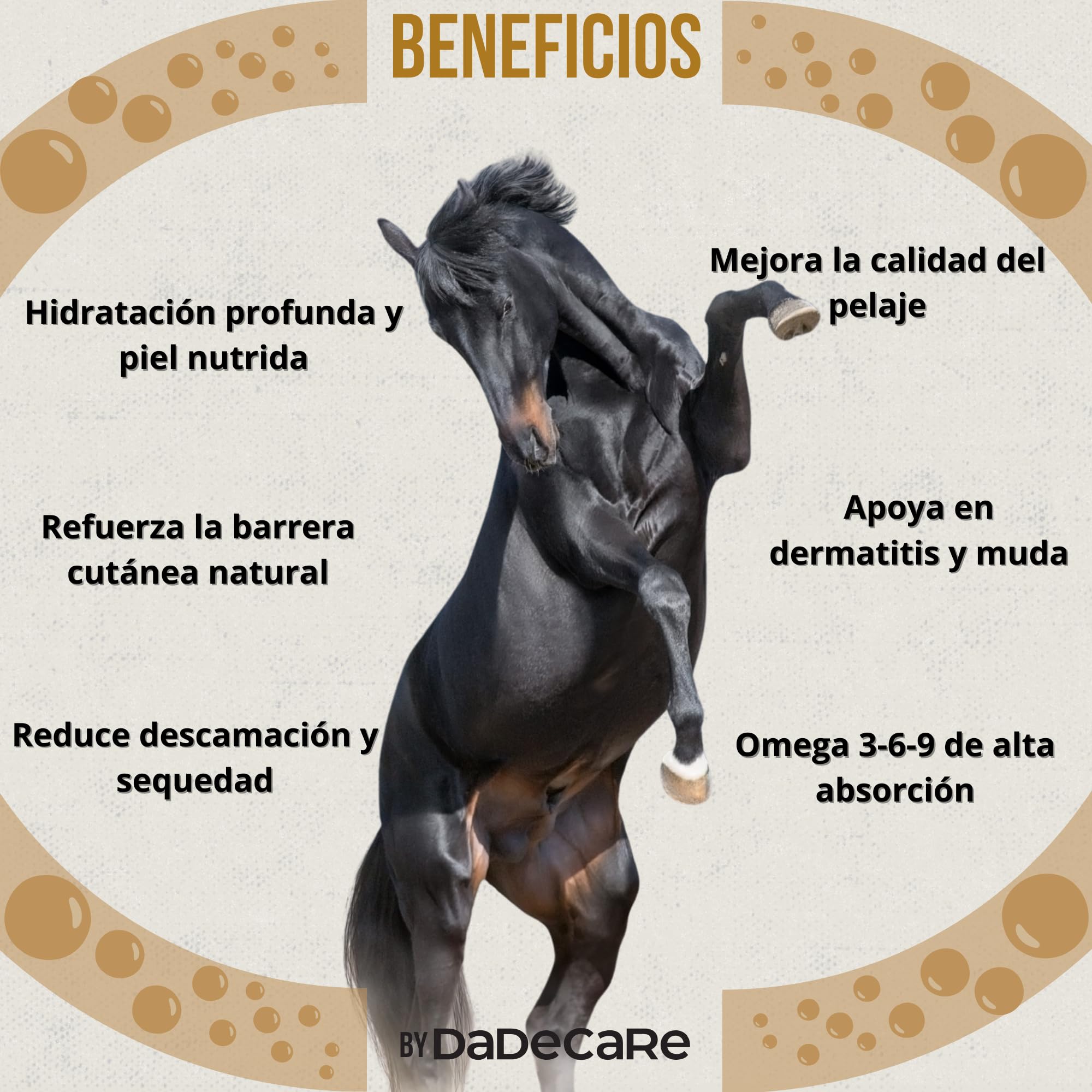 Skingcare – Suplemento Dermatológico para Caballos | Omega 3 6 9 con Linaza, Camelina, Girasol y Salmón | Apoyo Nutricional para Piel y Pelaje Seco